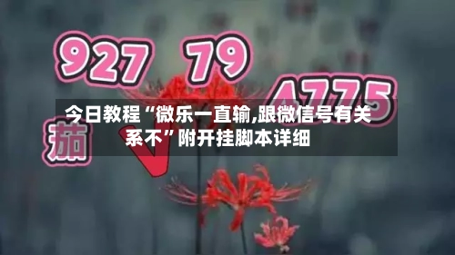 今日教程“微乐一直输,跟微信号有关系不	”附开挂脚本详细-第2张图片