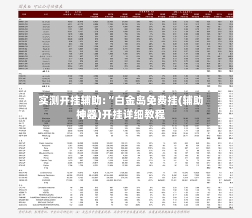 实测开挂辅助:“白金岛免费挂(辅助神器)开挂详细教程-第2张图片