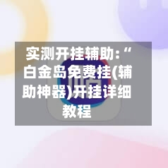 实测开挂辅助:“白金岛免费挂(辅助神器)开挂详细教程-第3张图片