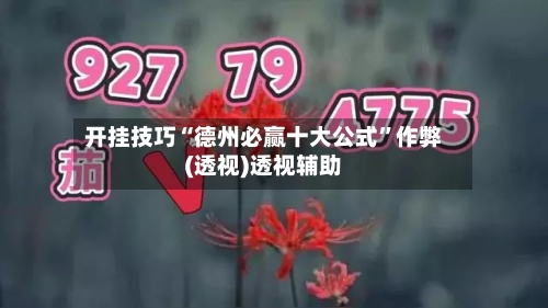 开挂技巧“德州必赢十大公式”作弊(透视)透视辅助-第2张图片