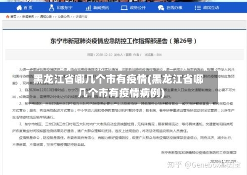 黑龙江省哪几个市有疫情(黑龙江省哪几个市有疫情病例)-第2张图片