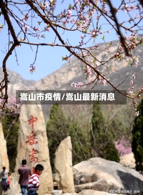 嵩山市疫情/嵩山最新消息-第2张图片