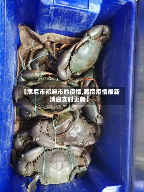 【悉尼市邦迪市的疫情,悉尼疫情最新消息实时更新】-第2张图片