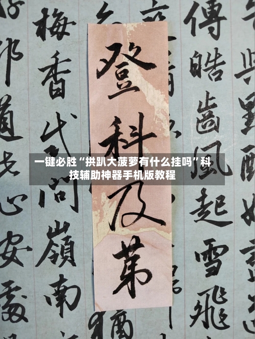一键必胜“拱趴大菠萝有什么挂吗”科技辅助神器手机版教程-第2张图片