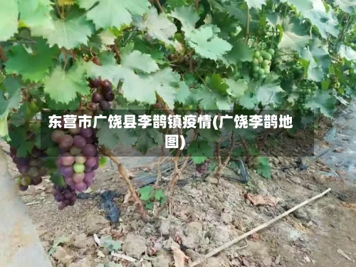 东营市广饶县李鹊镇疫情(广饶李鹊地图)-第3张图片