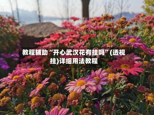 教程辅助“开心武汉花有挂吗”(透视挂)详细用法教程-第1张图片