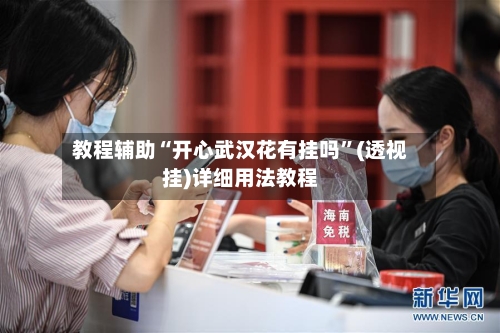 教程辅助“开心武汉花有挂吗”(透视挂)详细用法教程-第2张图片