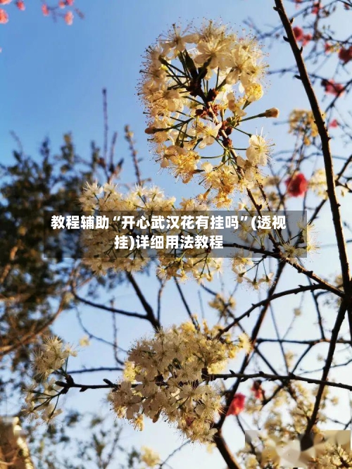 教程辅助“开心武汉花有挂吗	”(透视挂)详细用法教程-第3张图片
