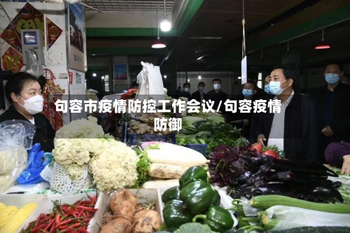句容市疫情防控工作会议/句容疫情防御-第3张图片