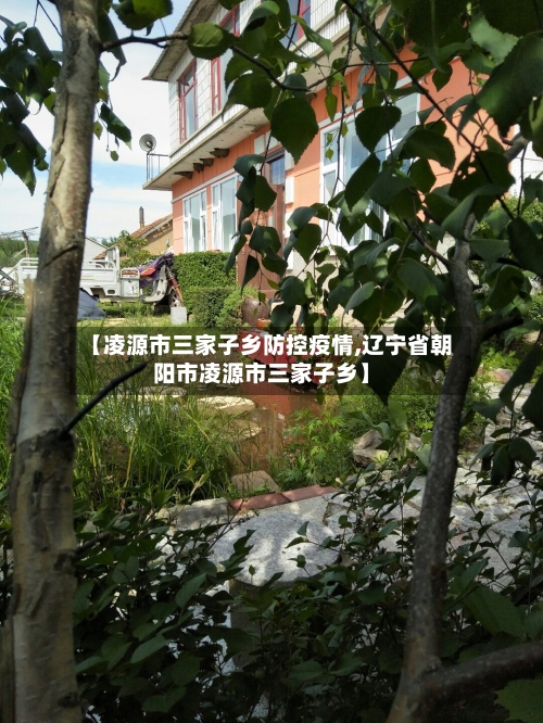 【凌源市三家子乡防控疫情,辽宁省朝阳市凌源市三家子乡】-第1张图片