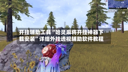 开挂辅助工具“哈灵麻将开挂神器下载安装	”详细外挂透视辅助软件教程-第2张图片