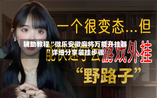 辅助教程“微乐安徽麻将万能开挂器”详细分享装挂步骤-第3张图片