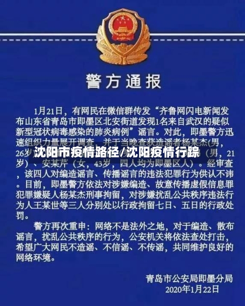 沈阳市疫情路径/沈阳疫情行踪-第2张图片