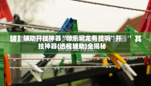 辅助开挂神器“微乐窝龙有挂吗”开挂神器{透视辅助}全揭秘-第2张图片