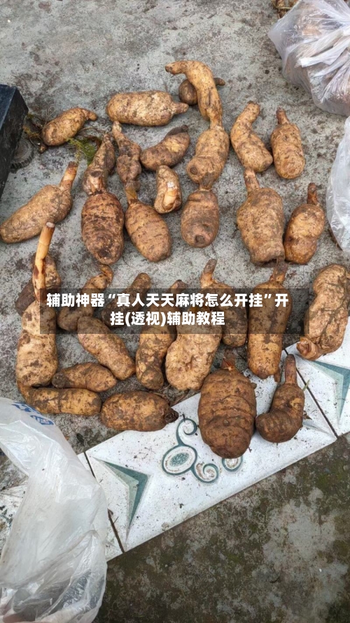 辅助神器“真人天天麻将怎么开挂”开挂(透视)辅助教程-第1张图片