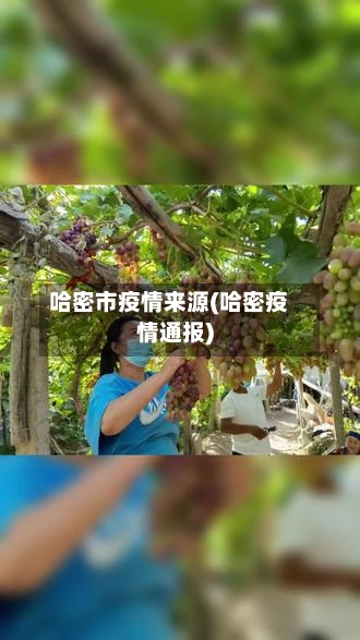 哈密市疫情来源(哈密疫情通报)-第2张图片