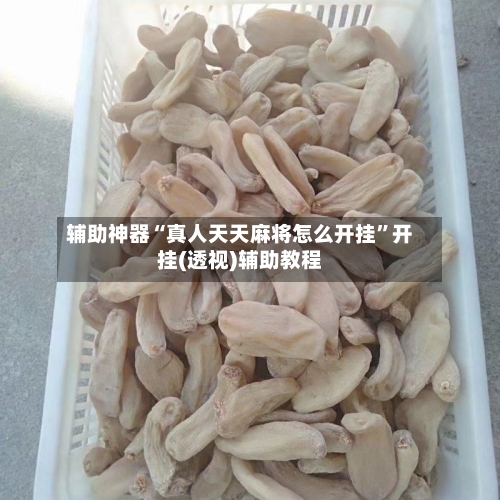 辅助神器“真人天天麻将怎么开挂	”开挂(透视)辅助教程-第2张图片