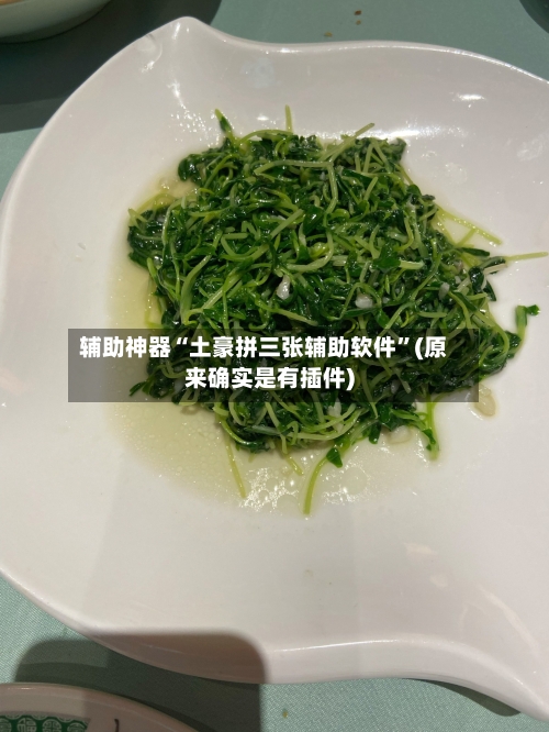 辅助神器“土豪拼三张辅助软件”(原来确实是有插件)-第1张图片