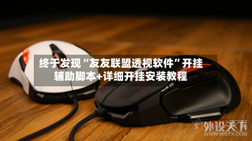 终于发现“友友联盟透视软件”开挂辅助脚本+详细开挂安装教程-第1张图片