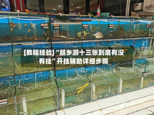 [教程经验]“越乡游十三张到底有没有挂	”开挂辅助详细步骤-第2张图片