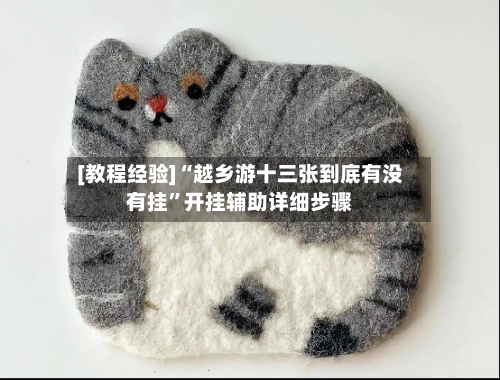 [教程经验]“越乡游十三张到底有没有挂”开挂辅助详细步骤-第3张图片