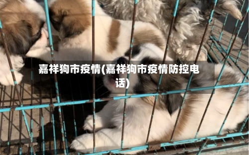 嘉祥狗市疫情(嘉祥狗市疫情防控电话)-第3张图片