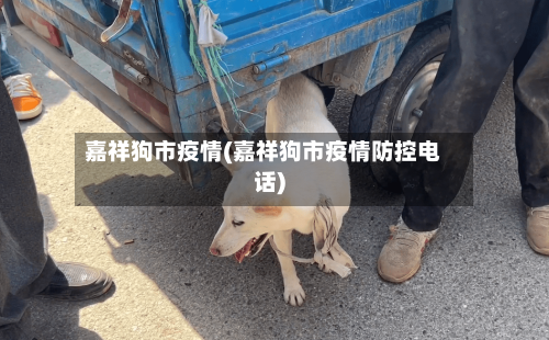 嘉祥狗市疫情(嘉祥狗市疫情防控电话)-第1张图片