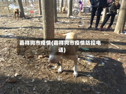 嘉祥狗市疫情(嘉祥狗市疫情防控电话)-第2张图片