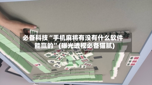 必备科技“手机麻将有没有什么软件能赢的”(曝光透视必备猫腻)-第2张图片