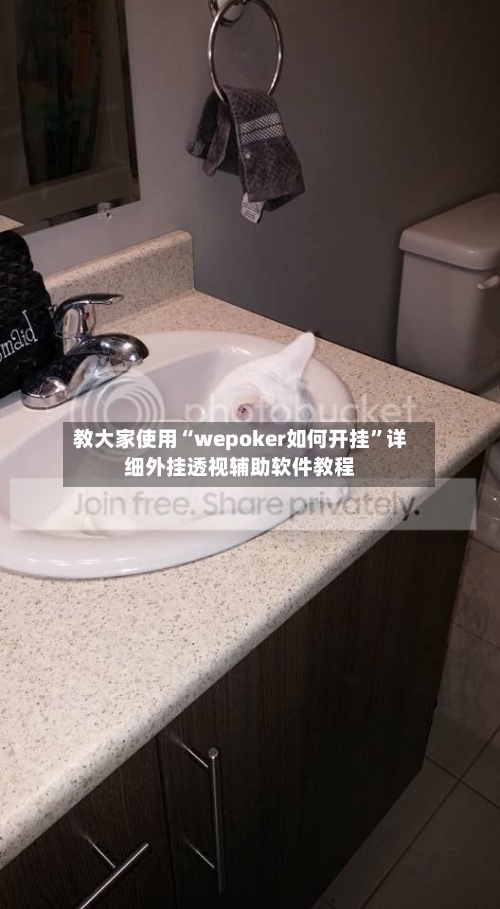 教大家使用“wepoker如何开挂”详细外挂透视辅助软件教程-第2张图片