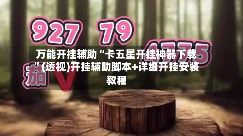 万能开挂辅助“卡五星开挂神器下载”(透视)开挂辅助脚本+详细开挂安装教程-第2张图片