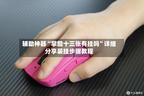 辅助神器“掌酷十三张有挂吗	”详细分享装挂步骤教程-第3张图片
