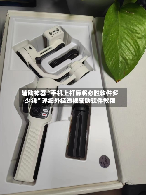 辅助神器“手机上打麻将必胜软件多少钱”详细外挂透视辅助软件教程-第1张图片