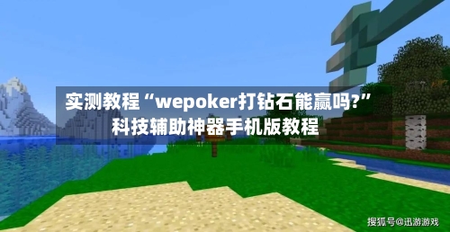 实测教程“wepoker打钻石能赢吗?”科技辅助神器手机版教程-第3张图片