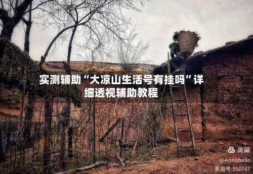 实测辅助“大凉山生活号有挂吗”详细透视辅助教程-第1张图片
