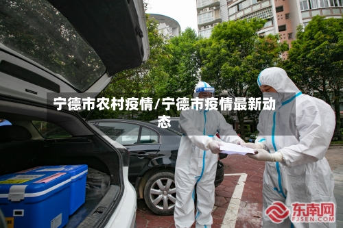 宁德市农村疫情/宁德市疫情最新动态-第2张图片