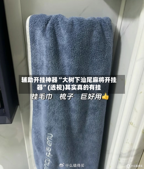 辅助开挂神器“大树下汕尾麻将开挂器”(透视)其实真的有挂-第2张图片