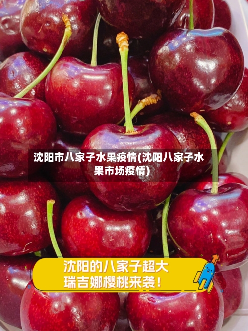 沈阳市八家子水果疫情(沈阳八家子水果市场疫情)-第2张图片