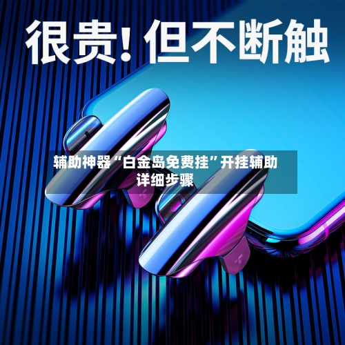 辅助神器“白金岛免费挂	”开挂辅助详细步骤-第2张图片