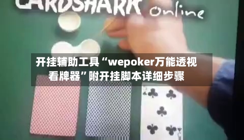 开挂辅助工具“wepoker万能透视看牌器”附开挂脚本详细步骤-第1张图片
