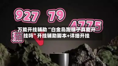 万能开挂辅助“白金岛跑胡子真能开挂吗”开挂辅助脚本+详细开挂-第2张图片