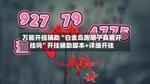 万能开挂辅助“白金岛跑胡子真能开挂吗	”开挂辅助脚本+详细开挂-第1张图片