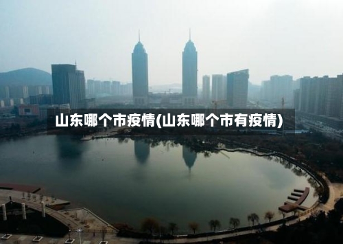 山东哪个市疫情(山东哪个市有疫情)-第3张图片
