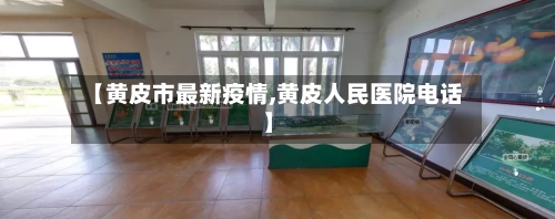 【黄皮市最新疫情,黄皮人民医院电话】-第3张图片