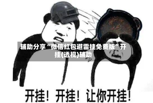 辅助分享“微信红包避雷挂免费版”开挂(透视)辅助-第3张图片