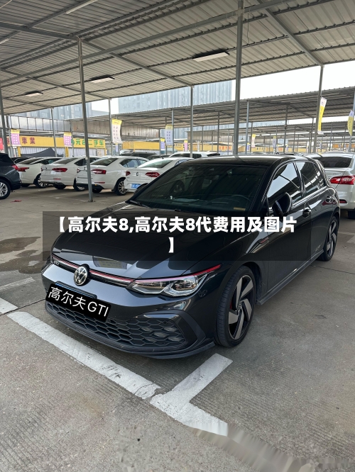【高尔夫8,高尔夫8代费用及图片】-第2张图片