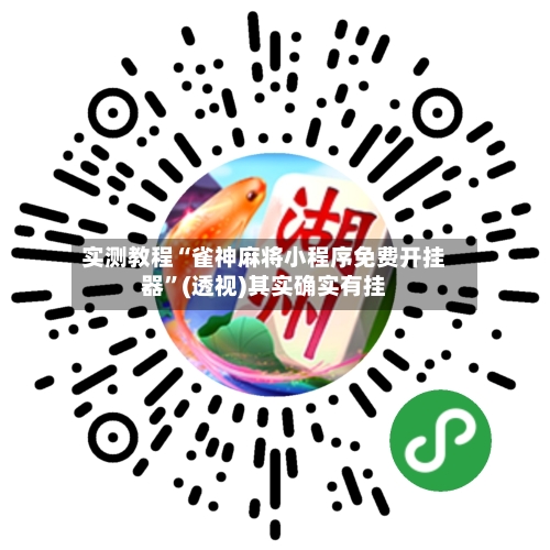 实测教程“雀神麻将小程序免费开挂器”(透视)其实确实有挂-第3张图片