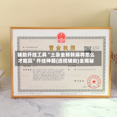 辅助开挂工具“土豪金转转麻将怎么才能赢”开挂神器{透视辅助}全揭秘-第3张图片