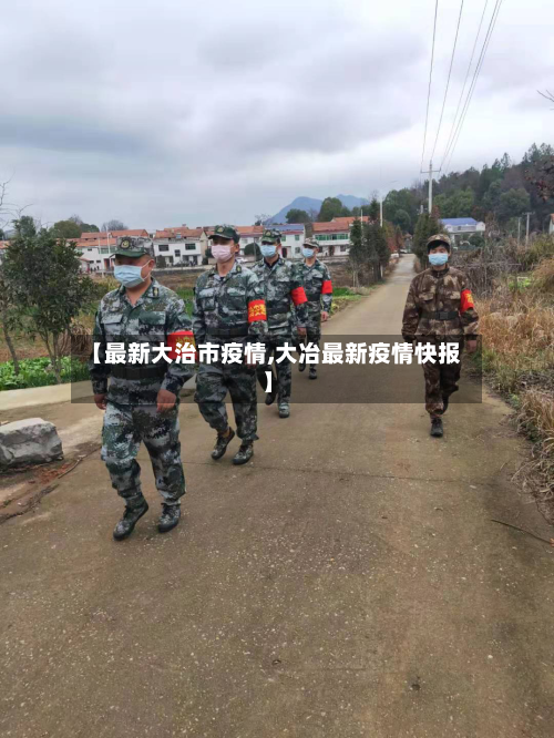 【最新大治市疫情,大冶最新疫情快报】-第1张图片