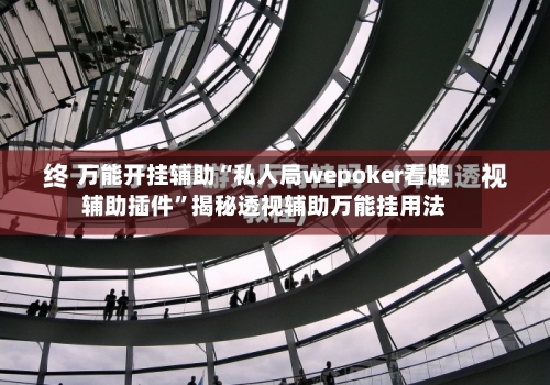 万能开挂辅助“私人局wepoker看牌辅助插件”揭秘透视辅助万能挂用法-第2张图片